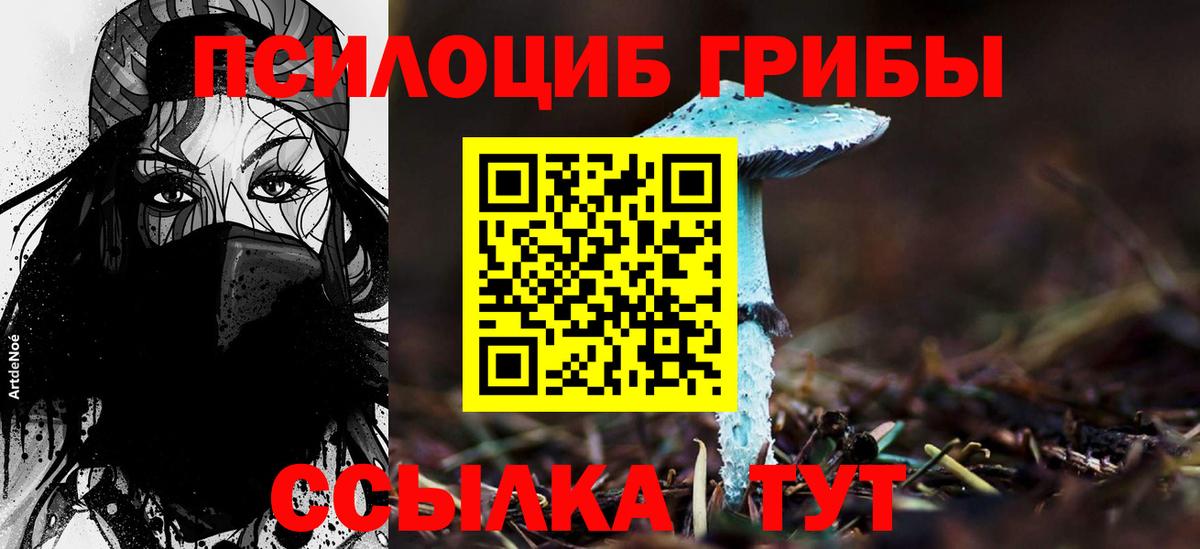 Галлюциногенные грибы Cubensis Шелехов