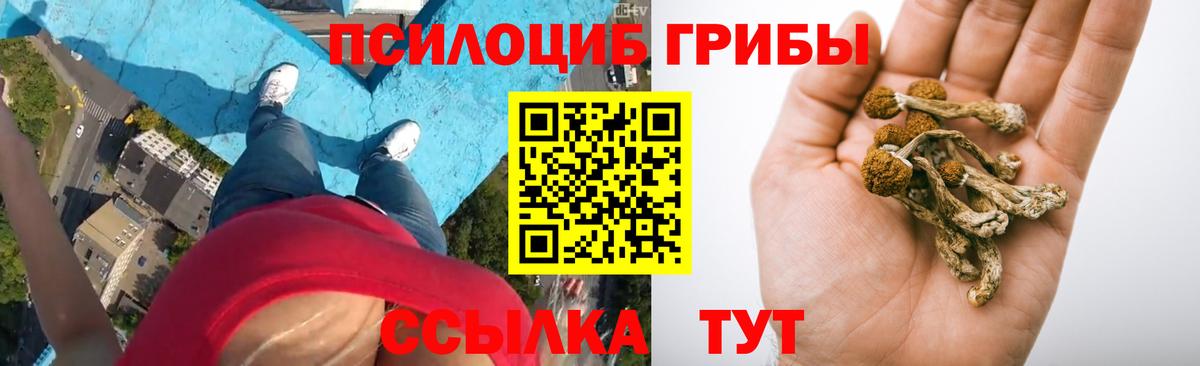 Шелехов  Псилоцибиновые грибы Magic Shrooms  Вход с VPN 
